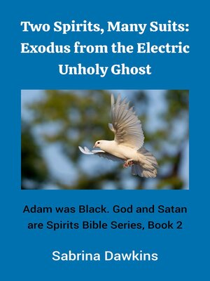 cover image of Two Spirits, Many Suits
